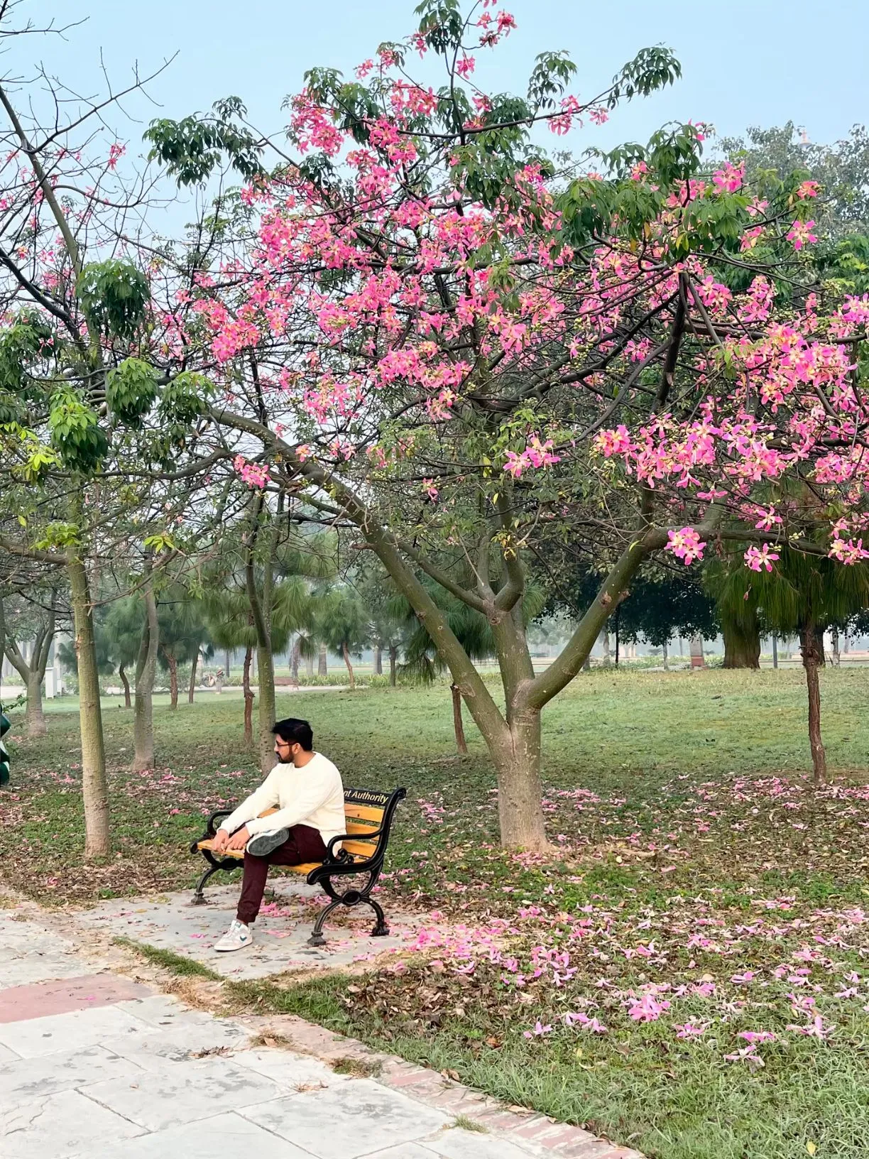 Janeshwar Mishra - Lucknow