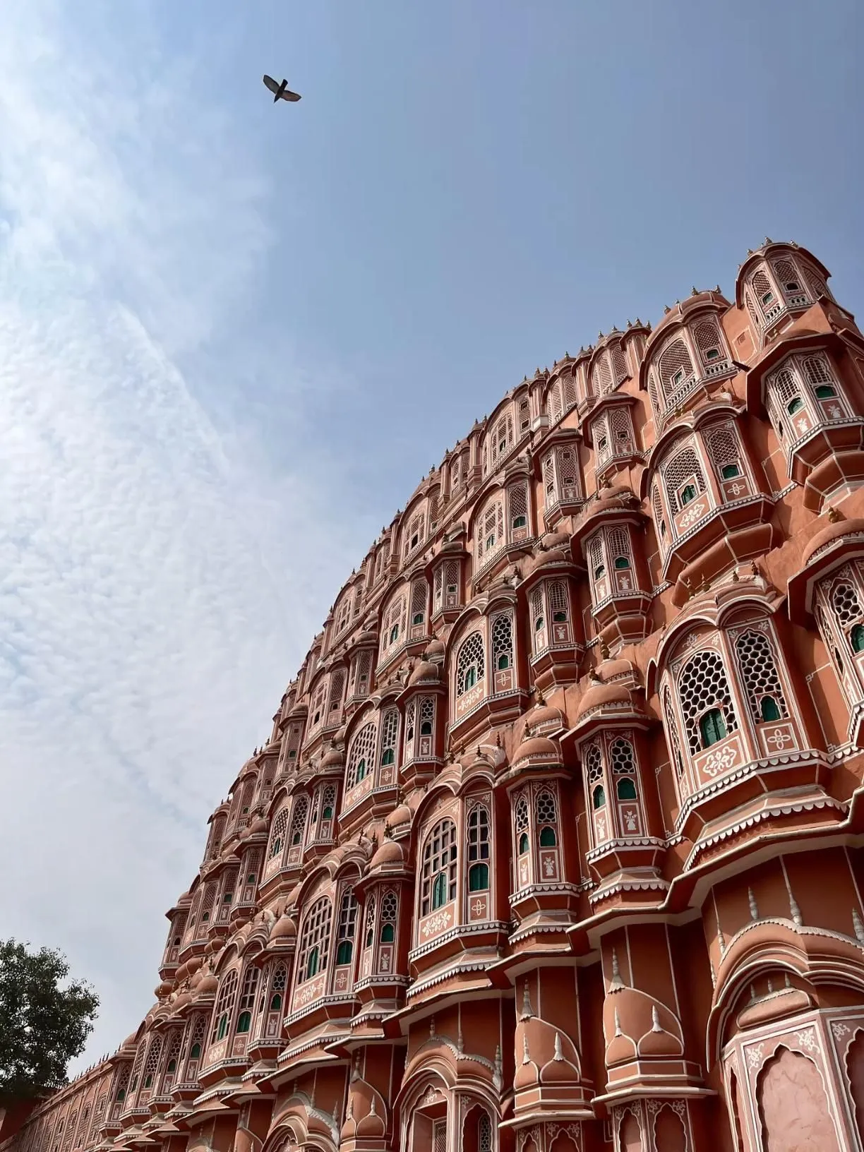 Hawa Mahal x Night and Day