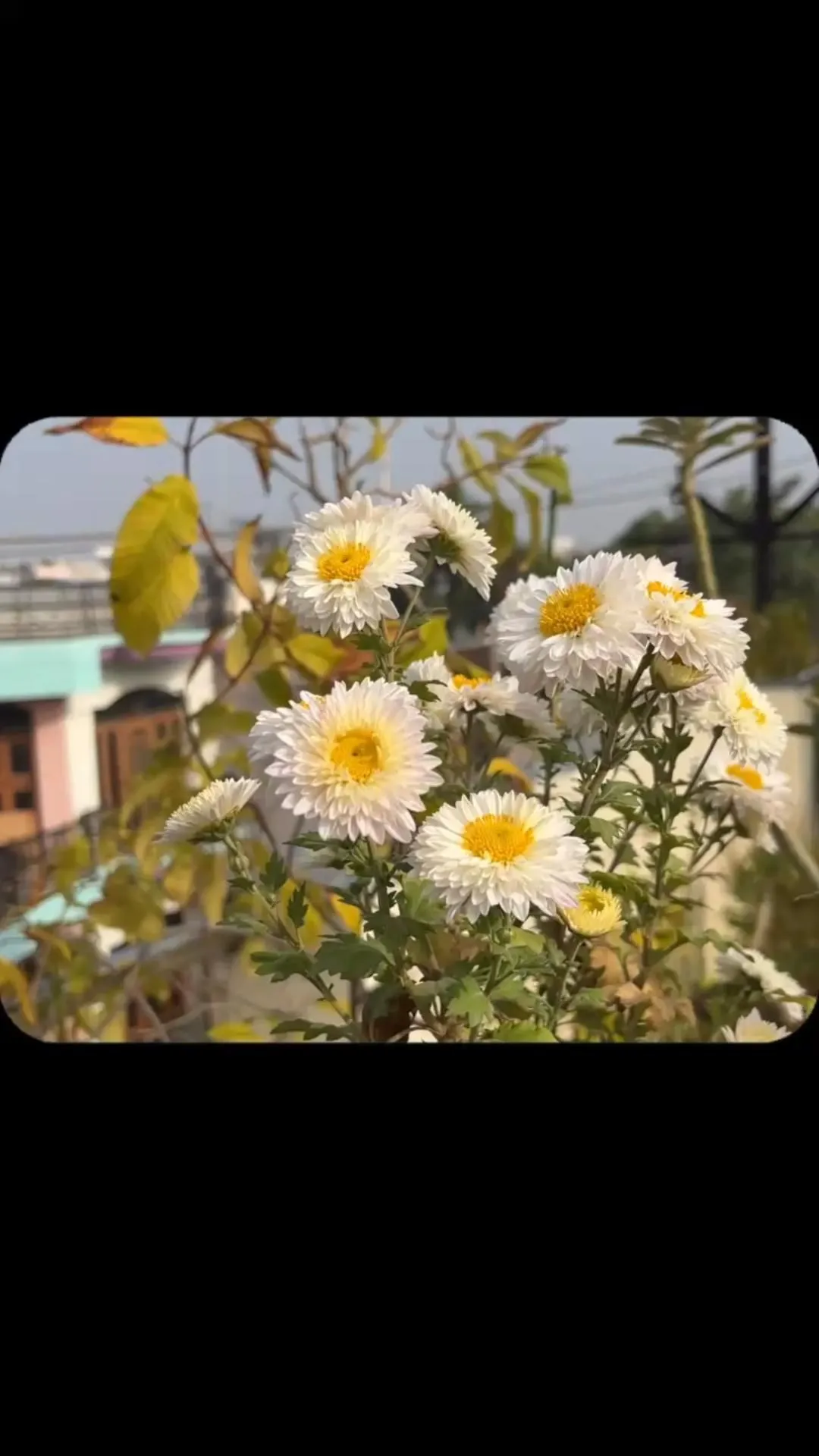 Kabhi kabhi mere dil mein khyaal aata hai