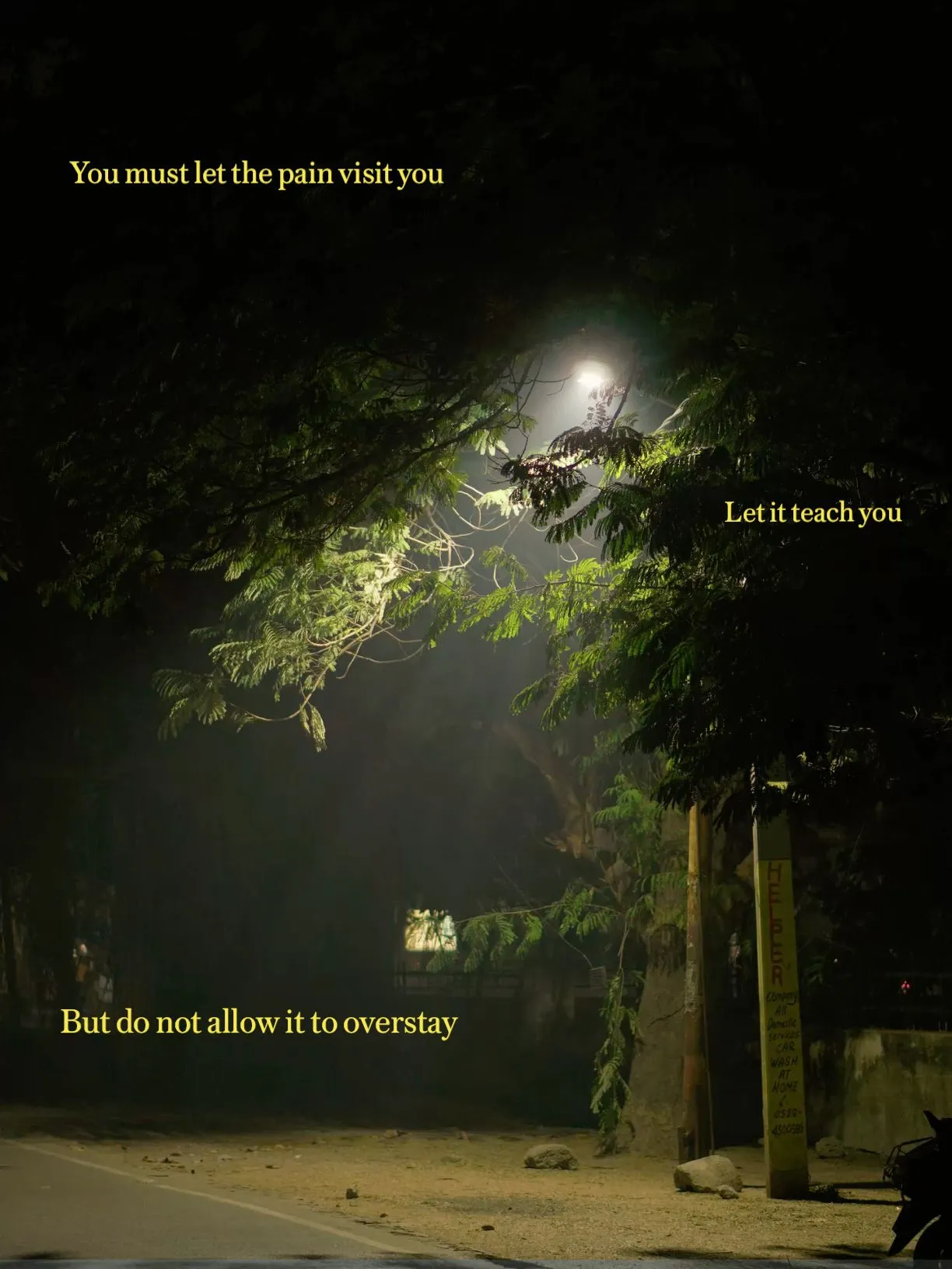 the light shines brightly through the trees and onto the road, with words written below it