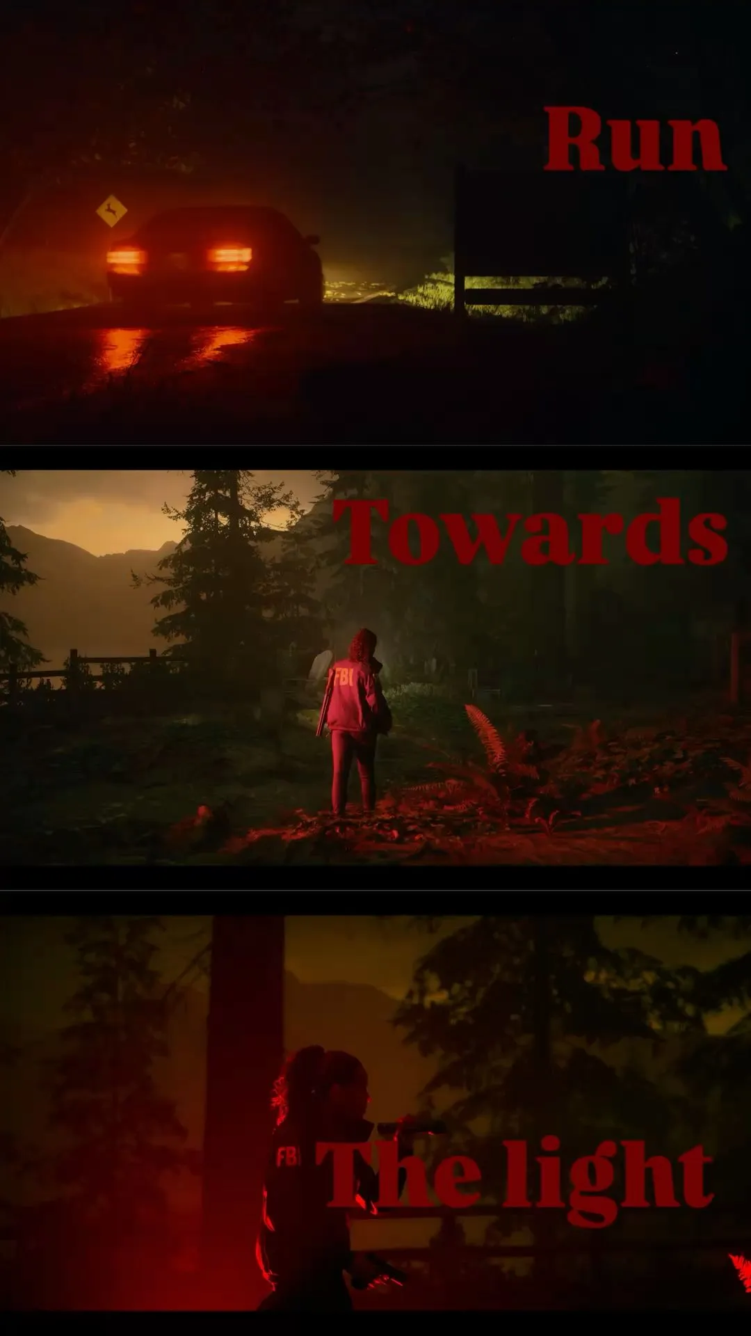 three different images of the same person in front of a car at night, with text that reads run towards the light