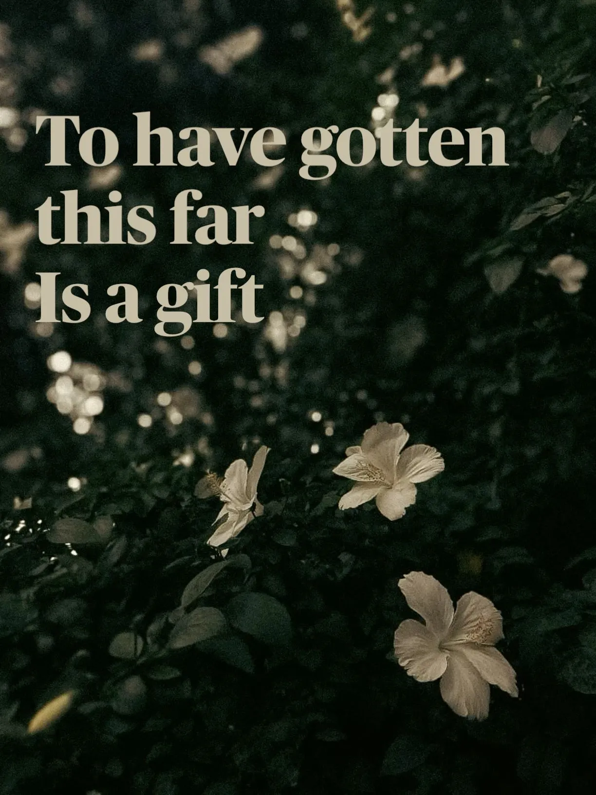 some flowers that are in the grass with a quote on it saying to have gotten this far is a gift