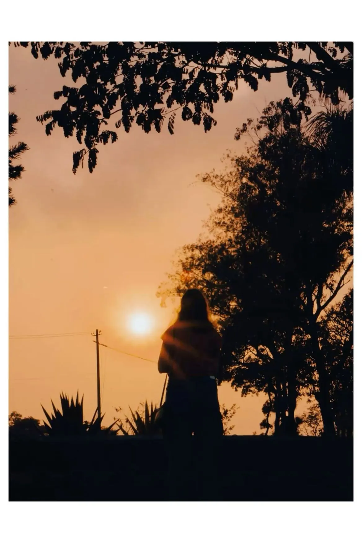 the silhouette of a person standing in front of a tree with the sun setting behind them
