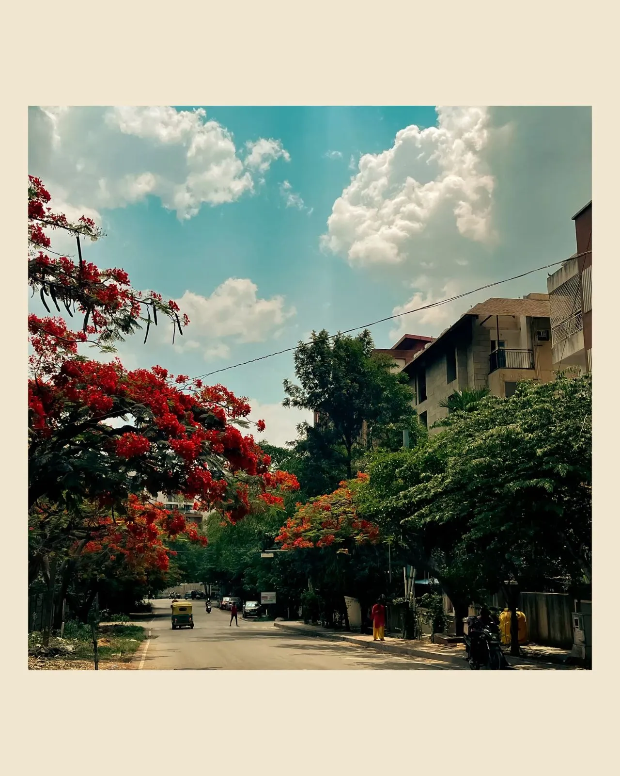 an empty street lined with trees and buildings under a cloudy blue sky in the background