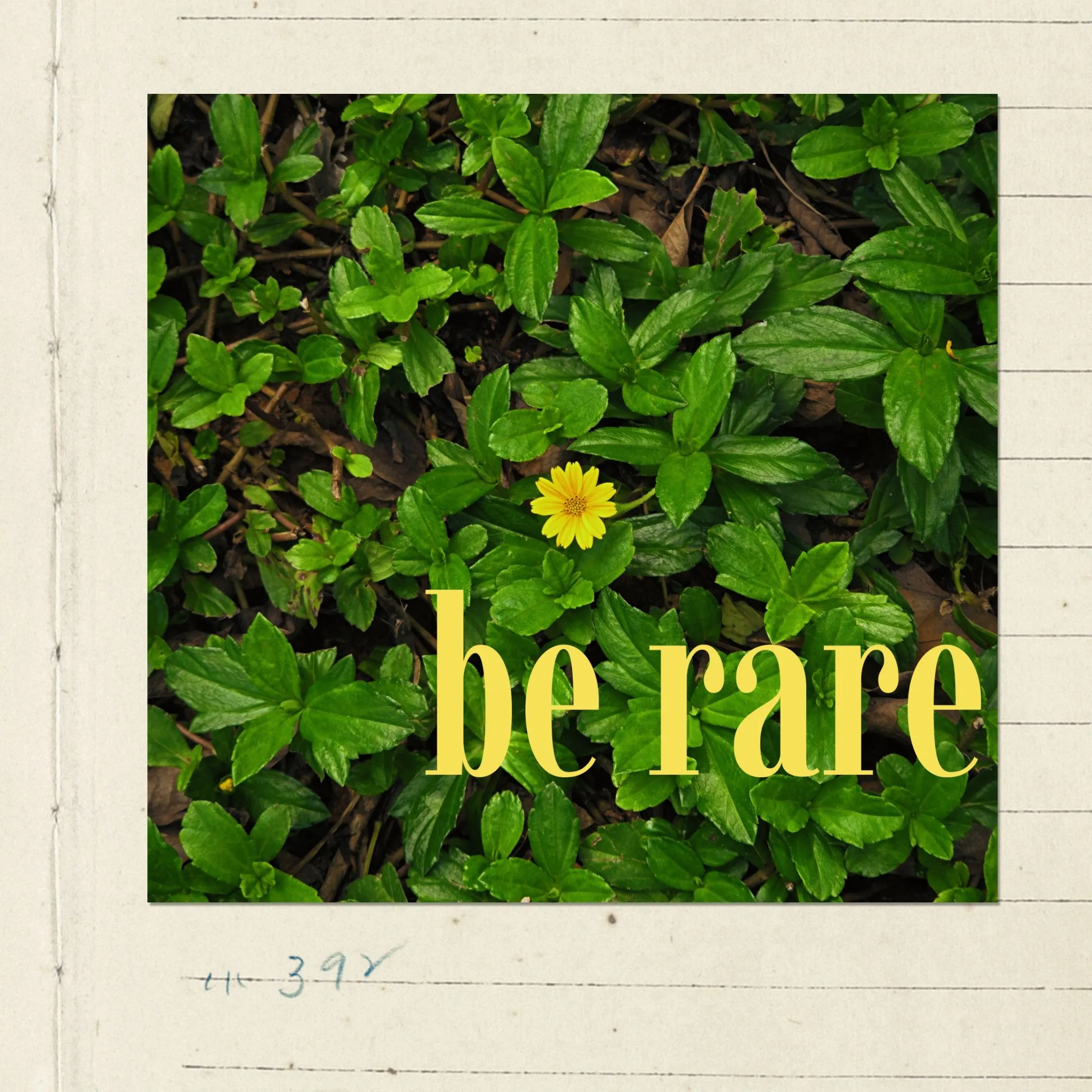 the words be rare are placed on top of some green leaves and grass with a yellow flower in between them