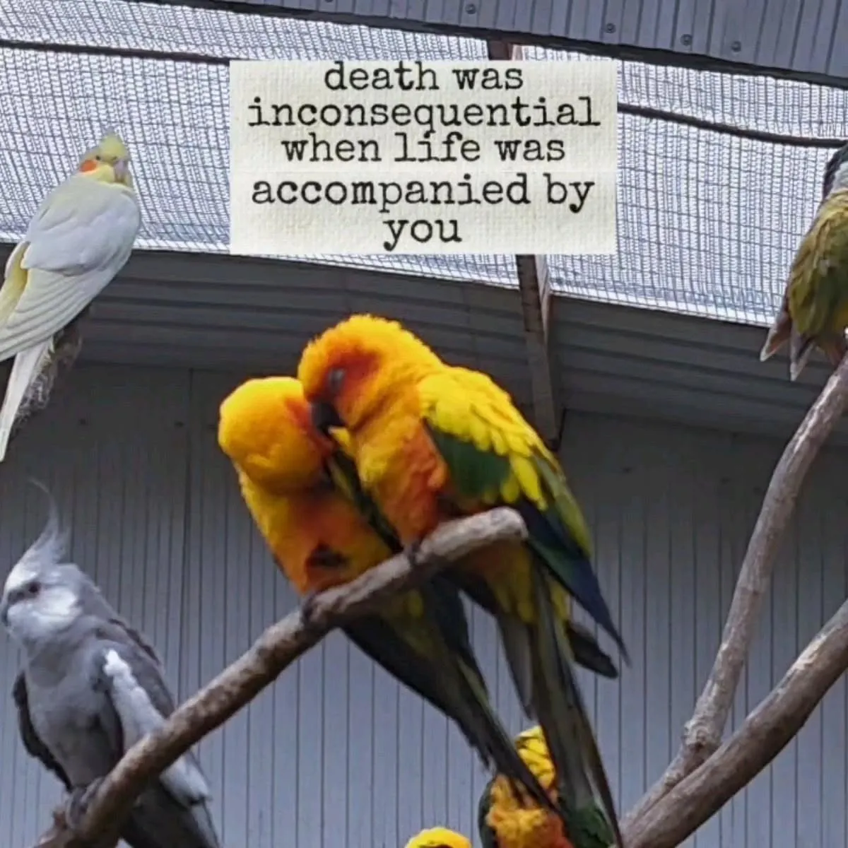 after all we are loving beings