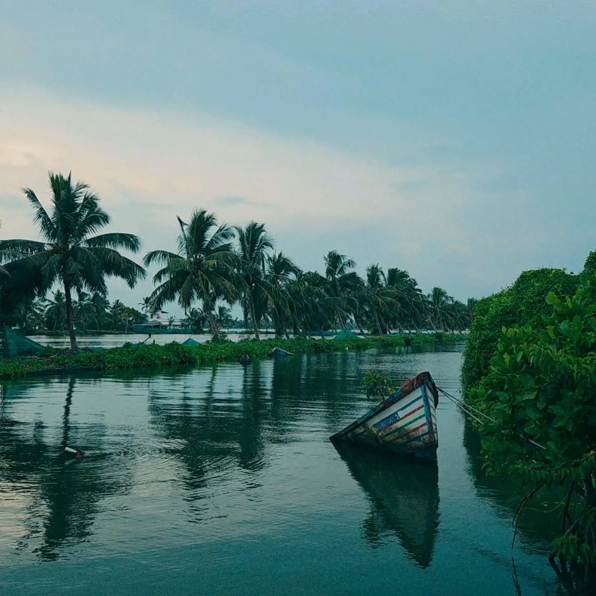 a boat is sitting in the middle of a river with palm trees and other vegetation