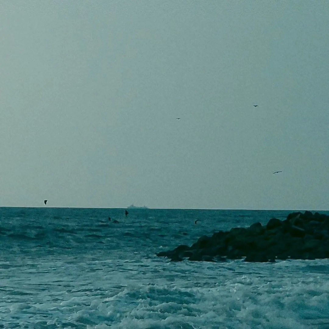 birds flying over the ocean with waves coming in