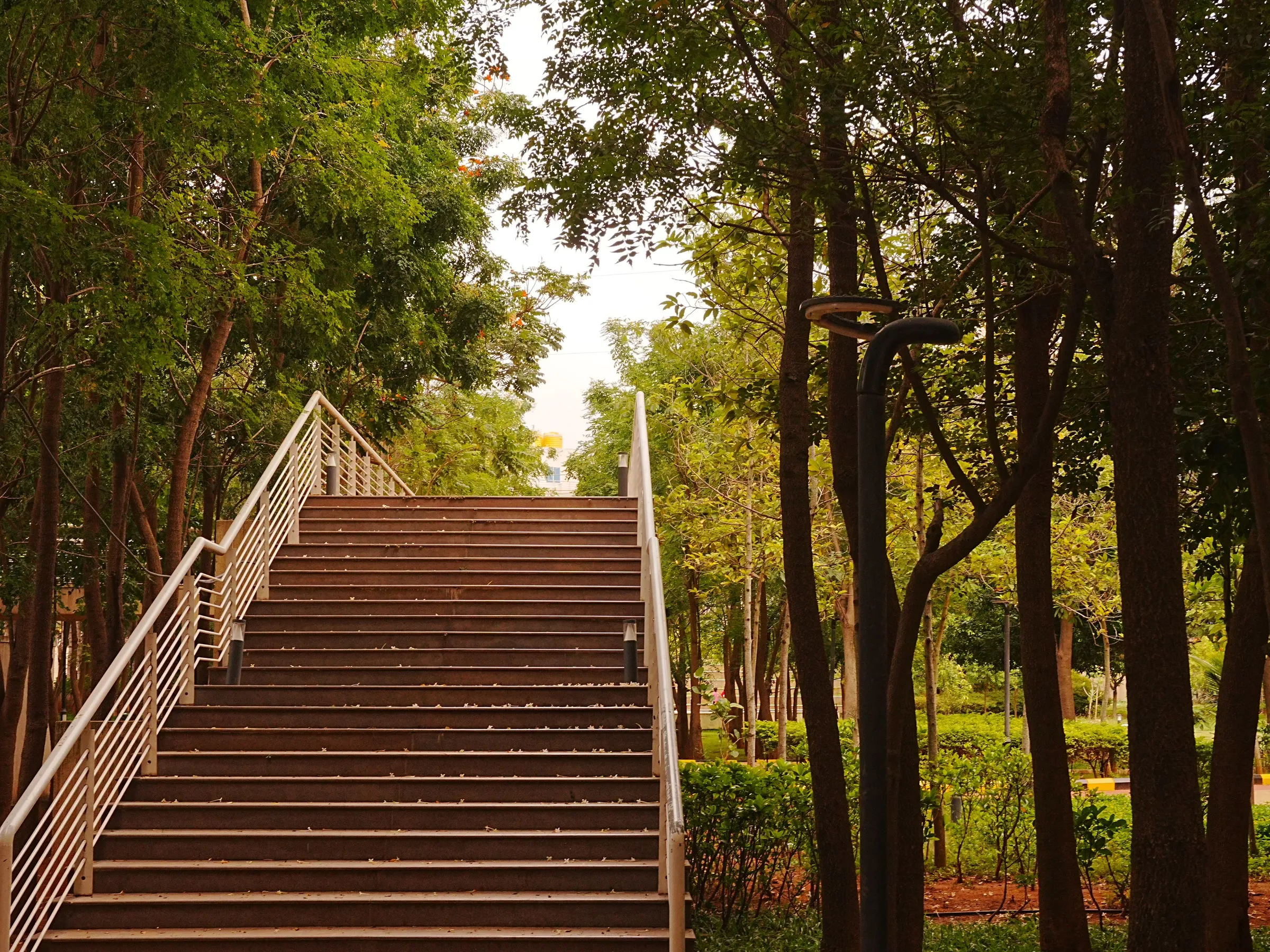 a set of stairs leading up to the top of some trees